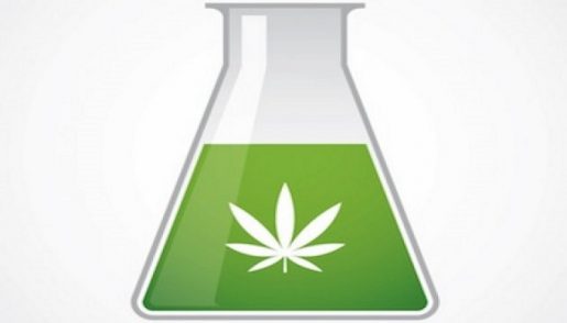 marijuana_science