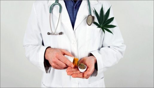 cannabdoctor