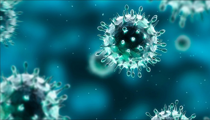 Каннабиноиды и иммунная система. Часть 2