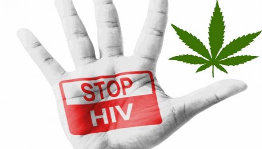 hivcannabis
