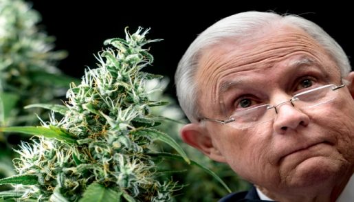 sessions-weed