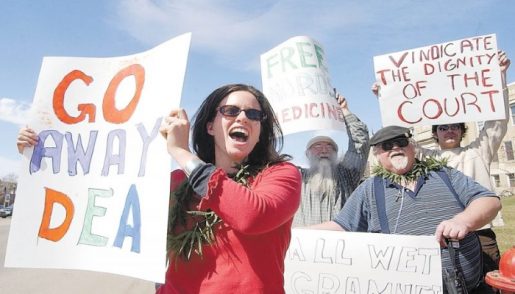 activist-weedistry