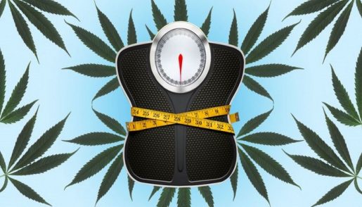 weed-anorexia