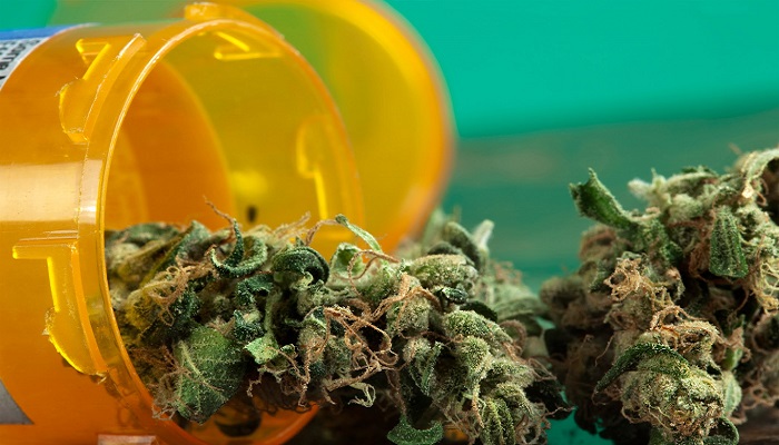 Медицинская марихуана становится легальной в Коннектикуте