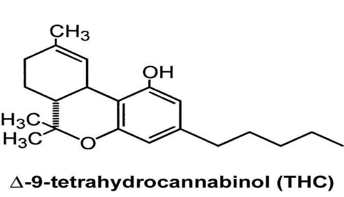 Дельта-9-тетрагидроканнабинол и спастичность