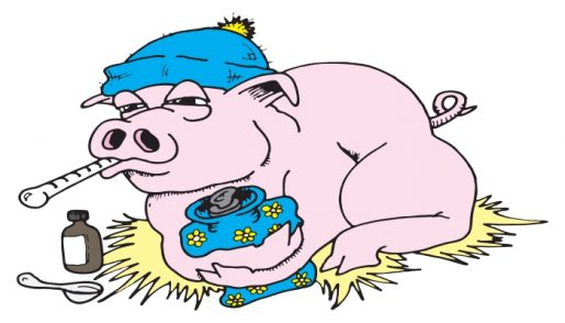 swine and bird flu
