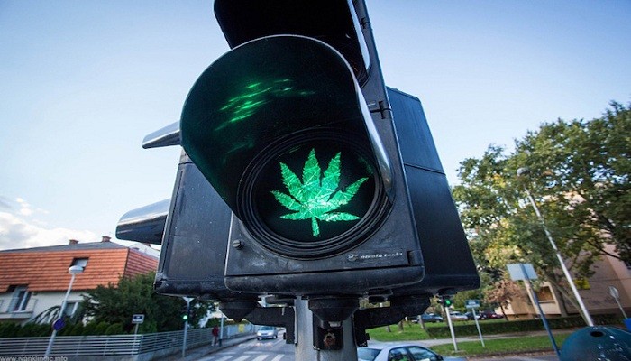 Эксперты призывают к легализации марихуаны