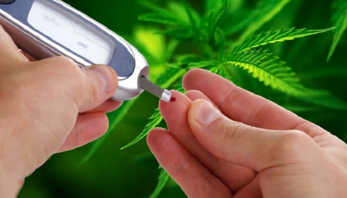 Может ли марихуана уменьшить риск развития диабета?