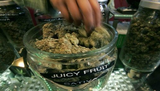 Описание сорта Juicy Fruit