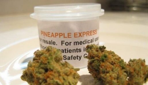 Описание сорта Pineapple Express