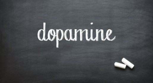 Индуцированное высвобождение допамина