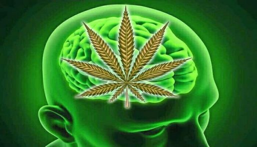 cannabis, medical marijuana