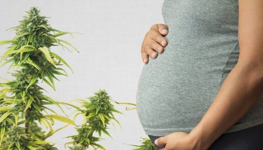 марихуана и вероятность преждевременных родов