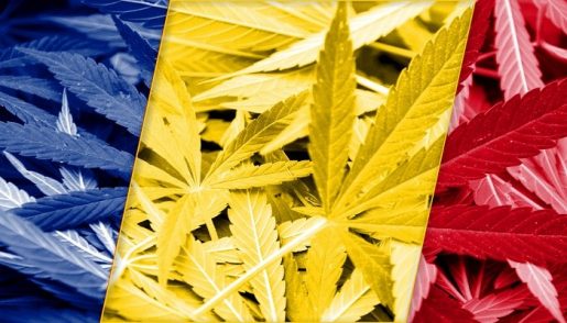 cannabis, medical marijuana, legalization