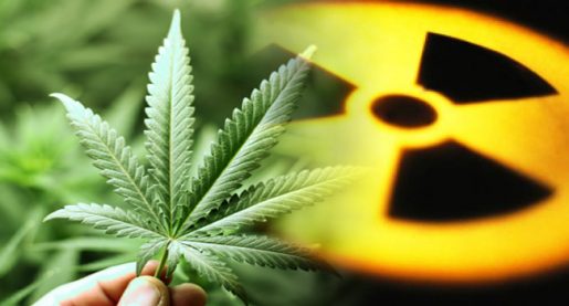 cannabis, weed,