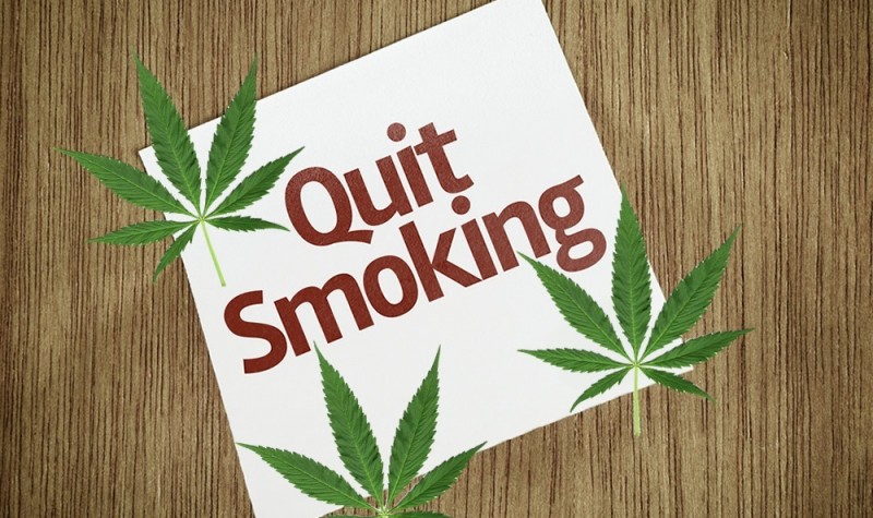 Как бросить курить конопле кто из известных курил марихуану