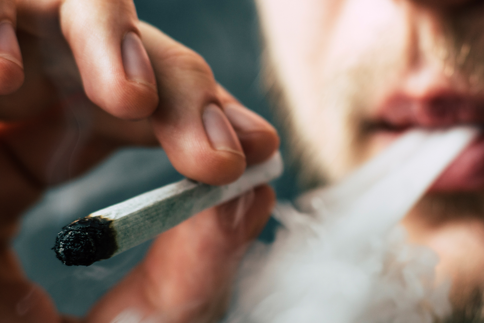 Курение пыльцы конопли кто обманывал тест на марихуану