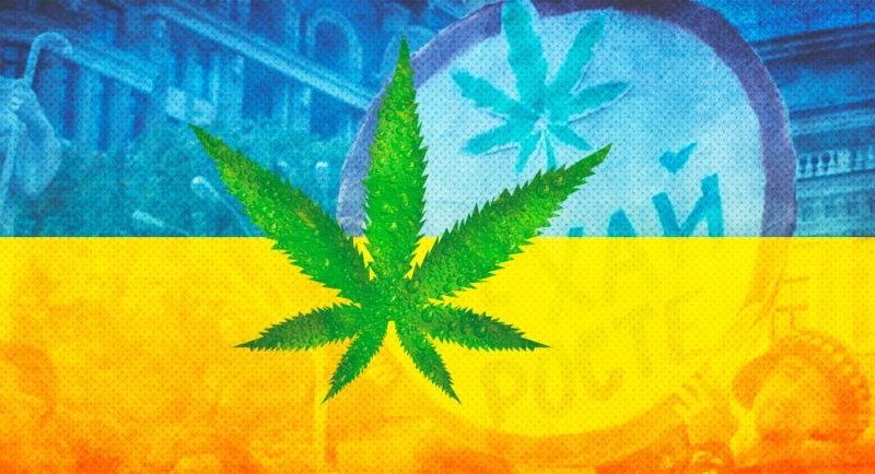 В Украине легализовали марихуану!