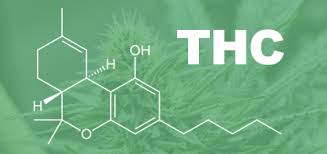 thc,cbd,cannabinoid, cannabis, marijuana, hemp,weed, 420, конопля, тгк, кбд, каннабис, марихуана, ганжа, tetrahydrocannabinol, Тетрагидроканнабинол, Каннабидиол, Cannabidiol,