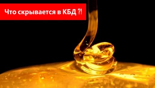cbd, кбд, каннабидиол, что такое кбд, кбд это, всё о кбд, масло кбд это, что такое каннабидиол, каннабидиол это, каннабидиол масло, cannabidiol, cannabidiol to, and cannabidiol,of cannabidiol in, weed, марихуана, тгк, конопля, каннабис,