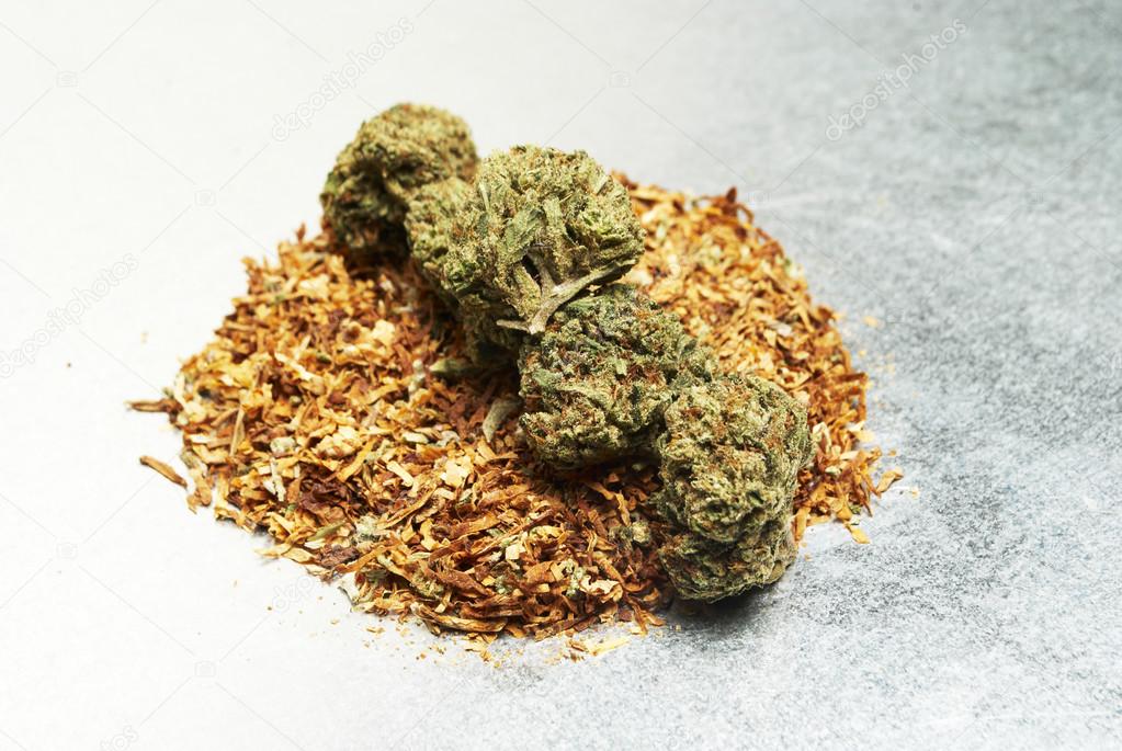 В марихуане содержится табак hydra tor browser hyrda