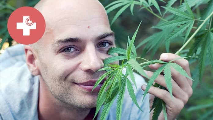 Марихуана и псориаз марихуана легальна в