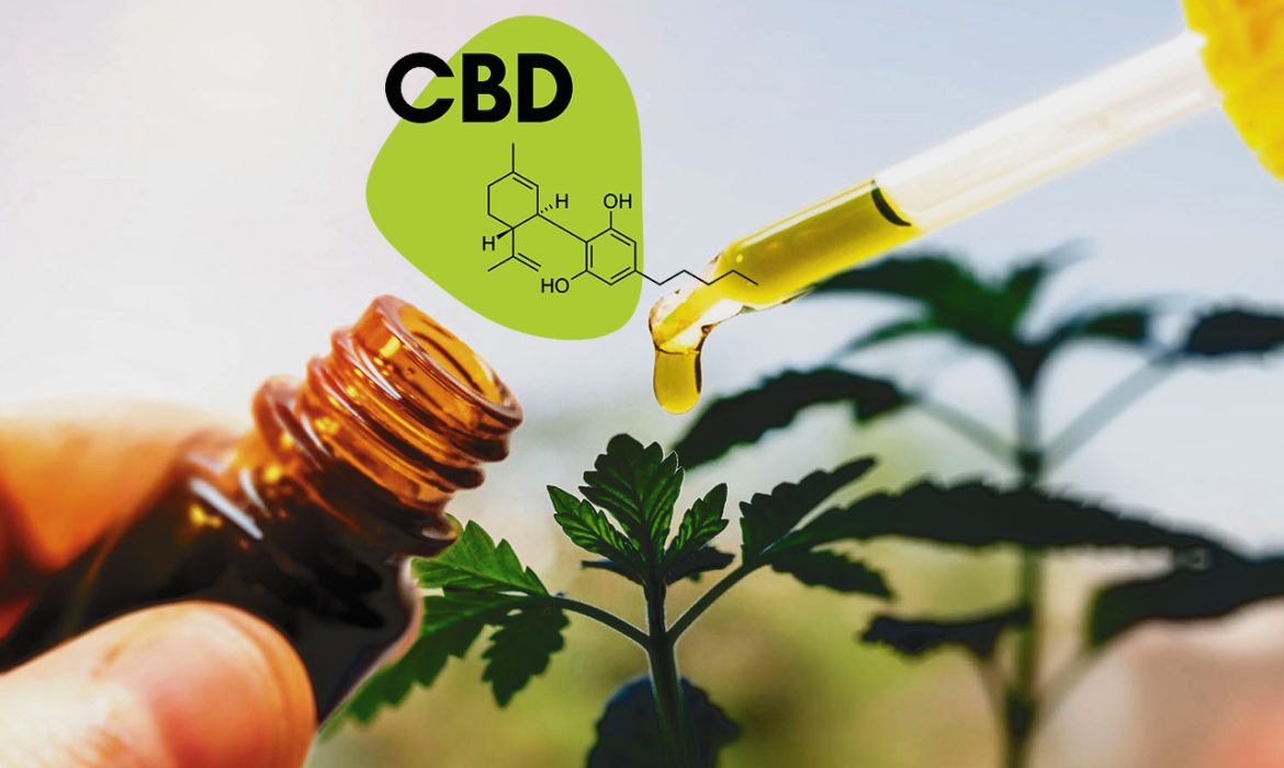 Популярность продуктов с CBD (КБД)