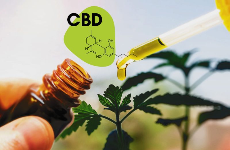 Популярность продуктов с CBD