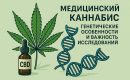 Медицинский каннабис: генетические особенности и важность исследований