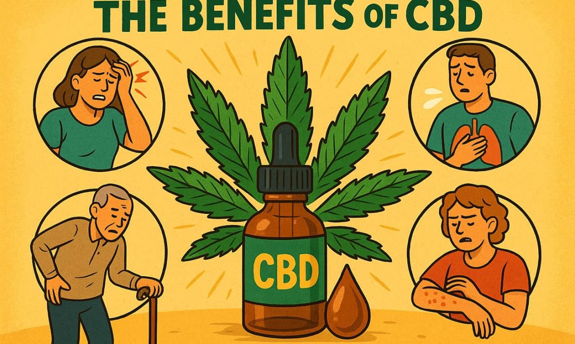Польза CBD при лечении различных заболеваний