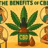 Польза CBD при лечении различных заболеваний
