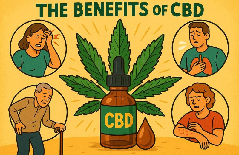 Польза CBD при лечении различных заболеваний