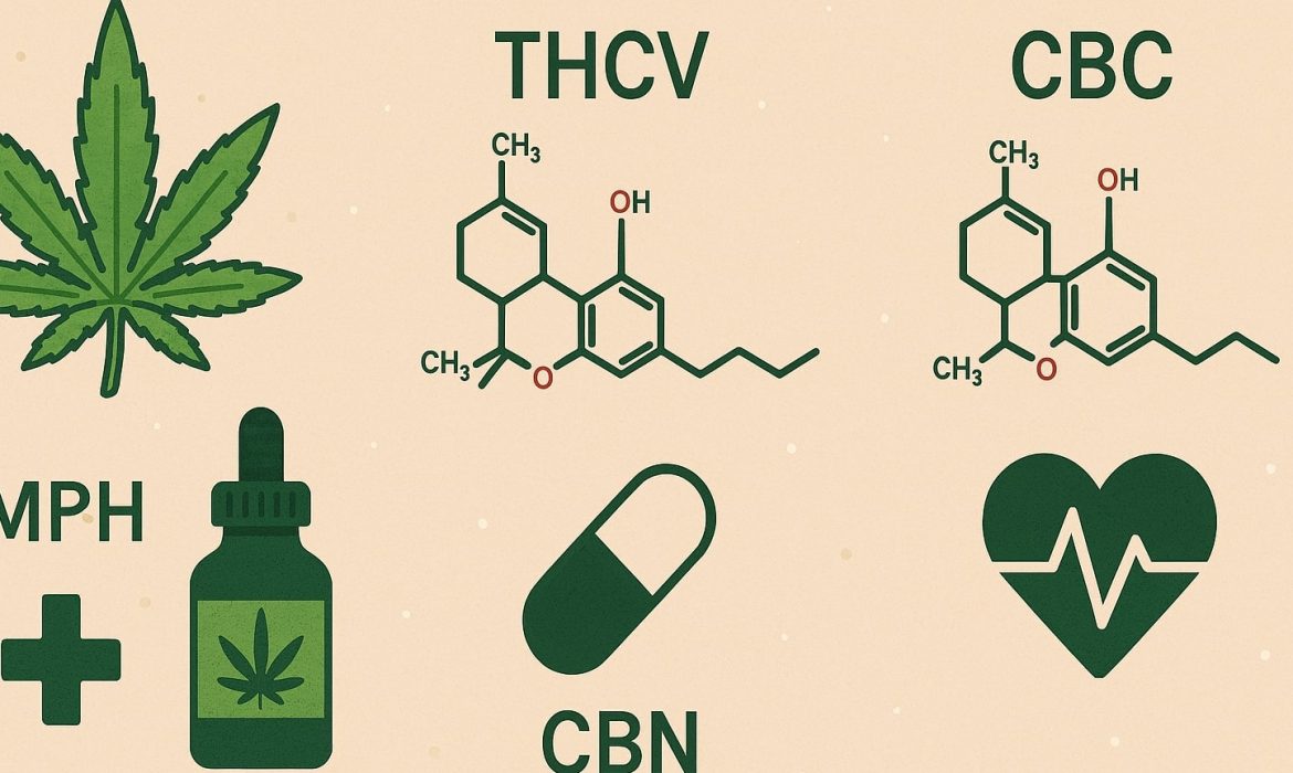 Малоизвестные каннабиноиды: THCV, CBN, CBC — их медицинский потенциал