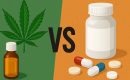 Медицинский каннабис vs фармацевтические препараты: конкуренция или синергия?