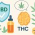 кайф от КБД в марихуане