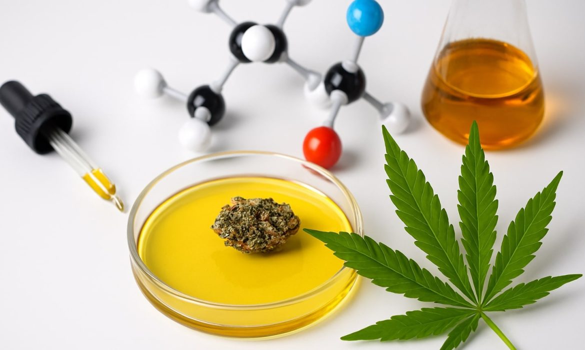 Новые исследования каннабиноидов