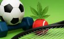 Каннабис и спорт: допустимо ли применение