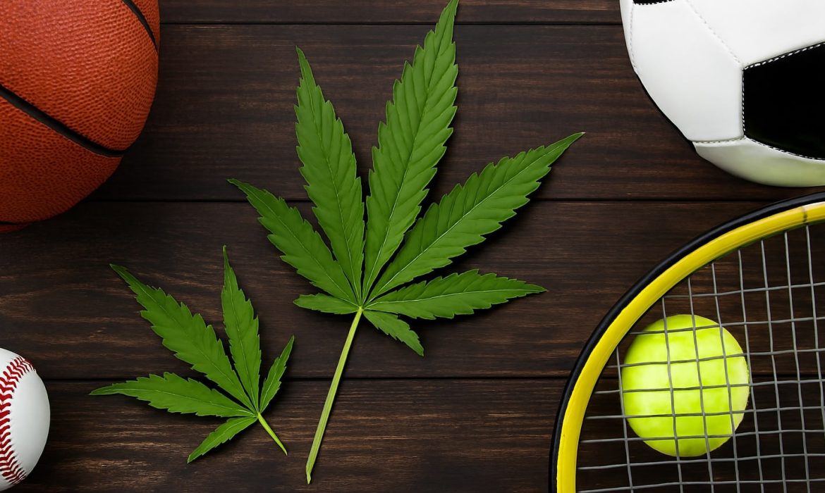 каннабис для спорта