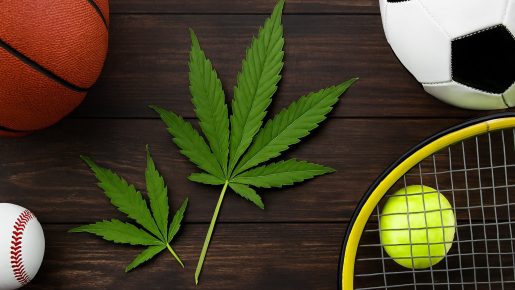 каннабис для спорта