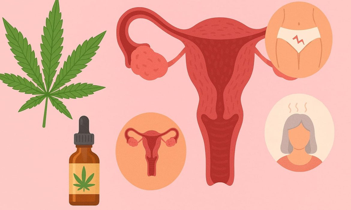 Каннабис и женское здоровье: ПМС, эндометриоз, менопауза