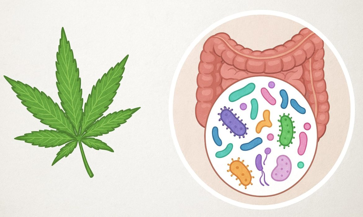 кишечник после марихуаны
