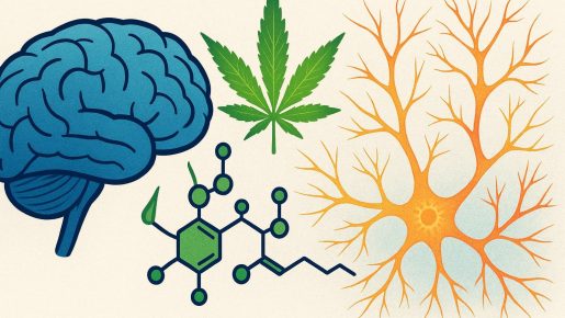 марихуана для мозга