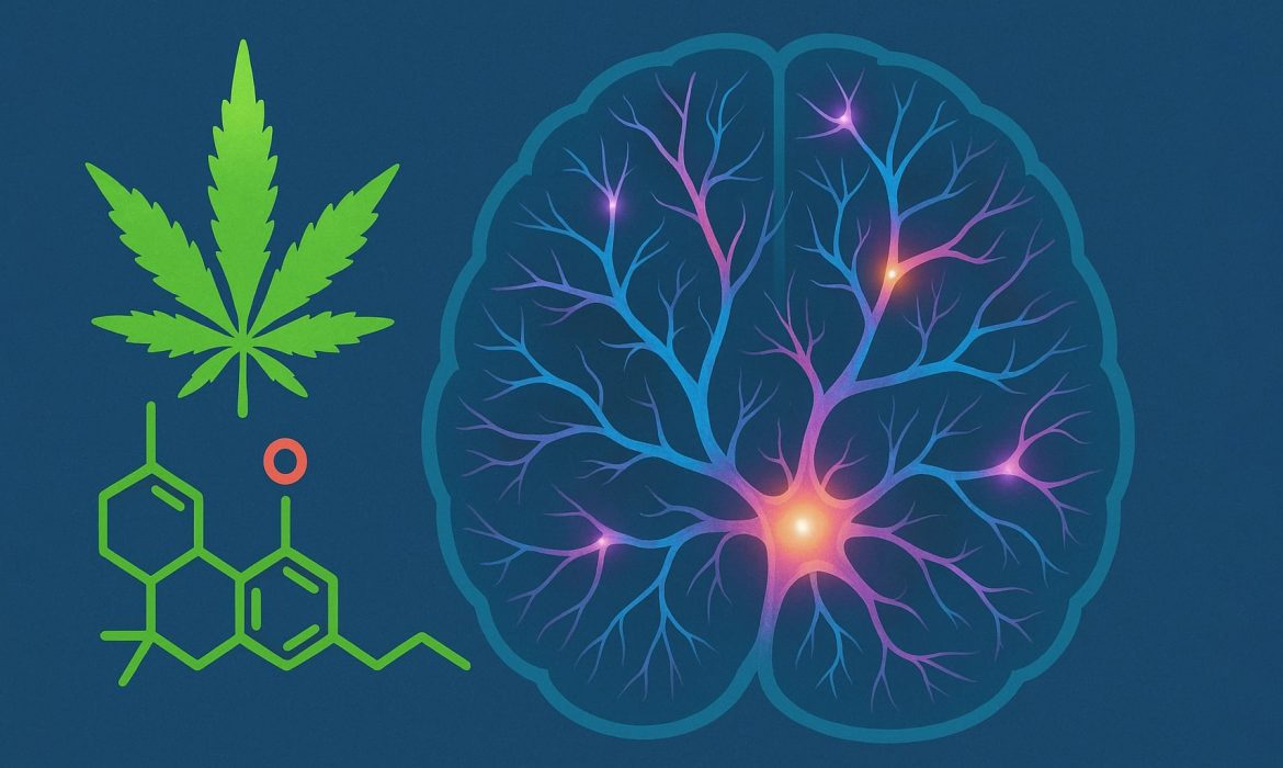 конопля для мозга