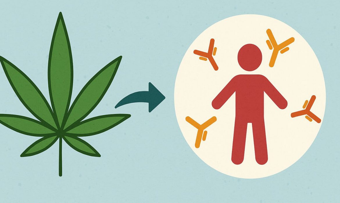 Влияние каннабиноидов на аутоиммунные заболевания